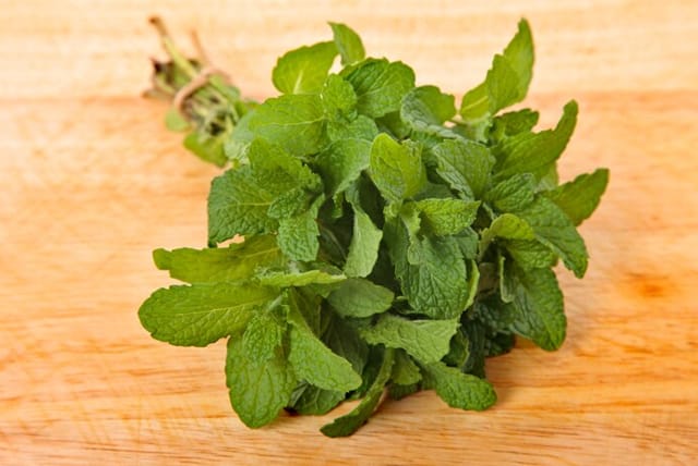 Mint - Bunch
