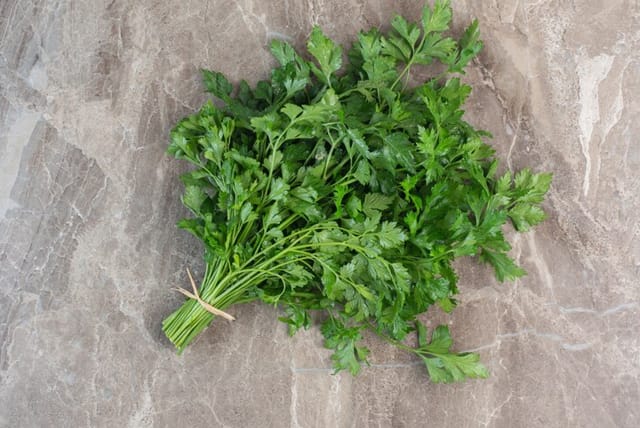 Cilantro 1 EA Bunch