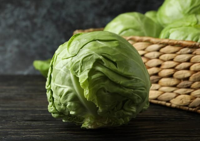 Cabbage Each 1