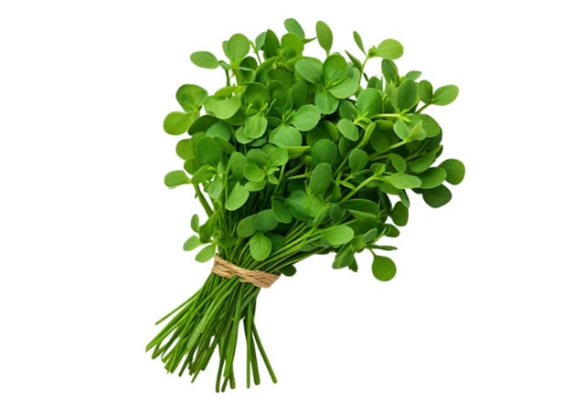 Methi Bunch